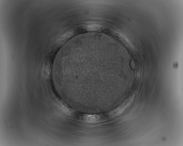 X0000100350277200806130959