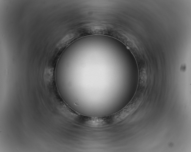 X0000100350278200806130959