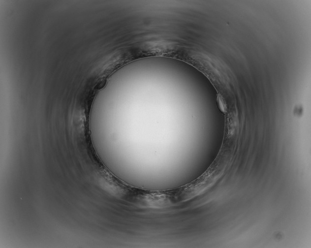 X0000100350279200806130959