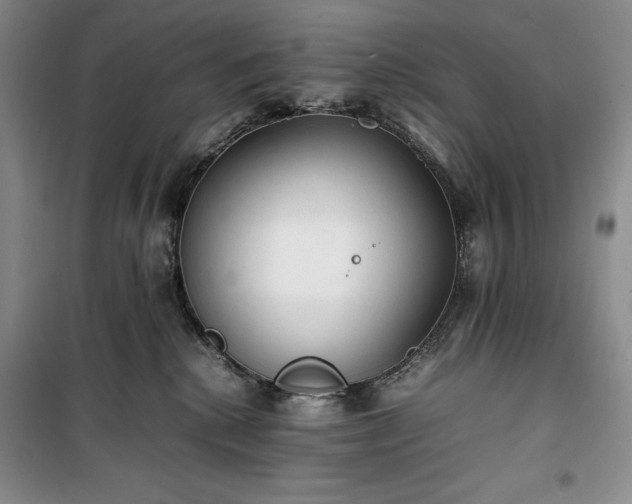 X0000100350280200806130959
