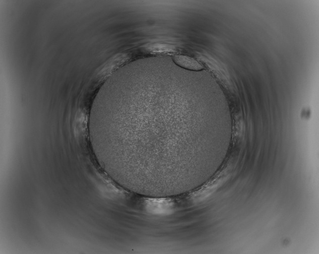 X0000100350281200806130959