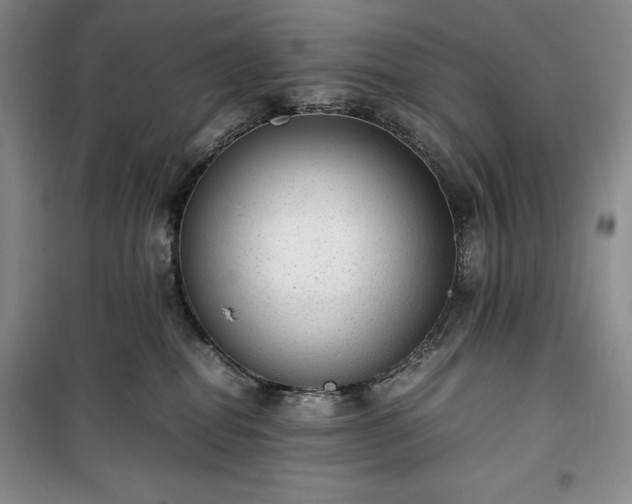 X0000100350282200806130959