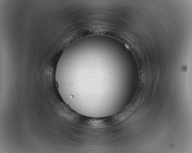 X0000100350283200806130959