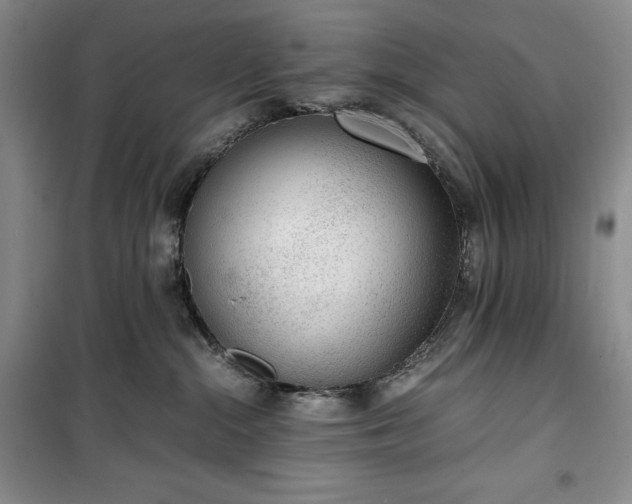 X0000100350284200806130959