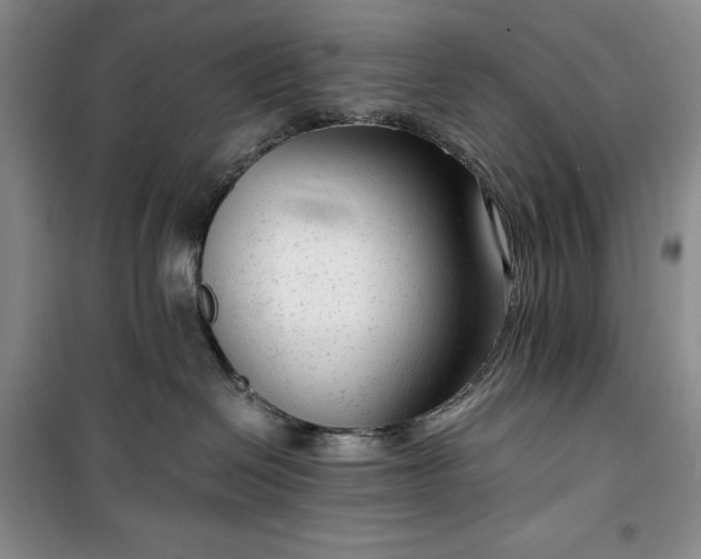 X0000100350286200806130959