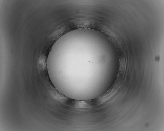 X0000100350287200806130959