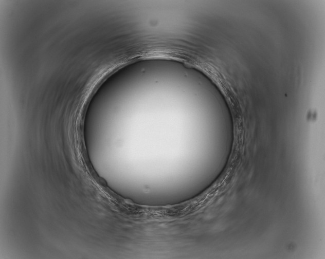 X0000100350289200806130959