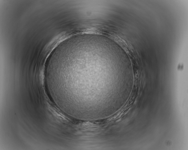 X0000100350290200806130958