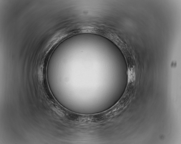 X0000100350291200806130958