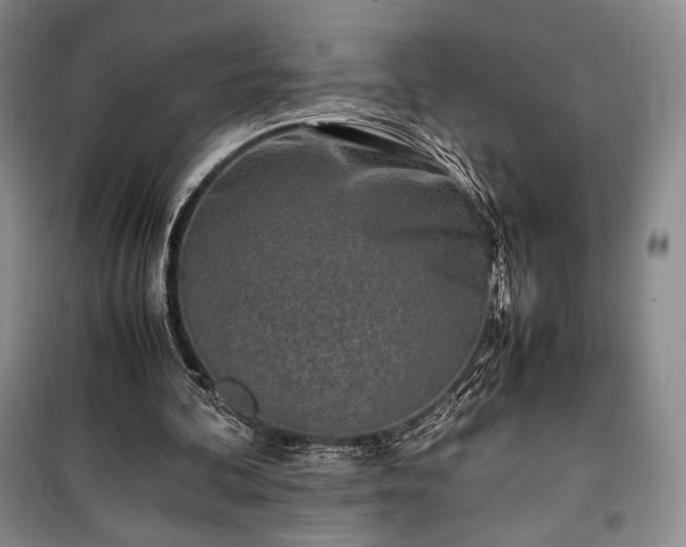 X0000100350292200806130958