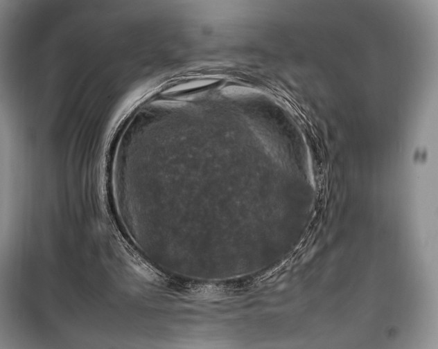 X0000100350293200806130958