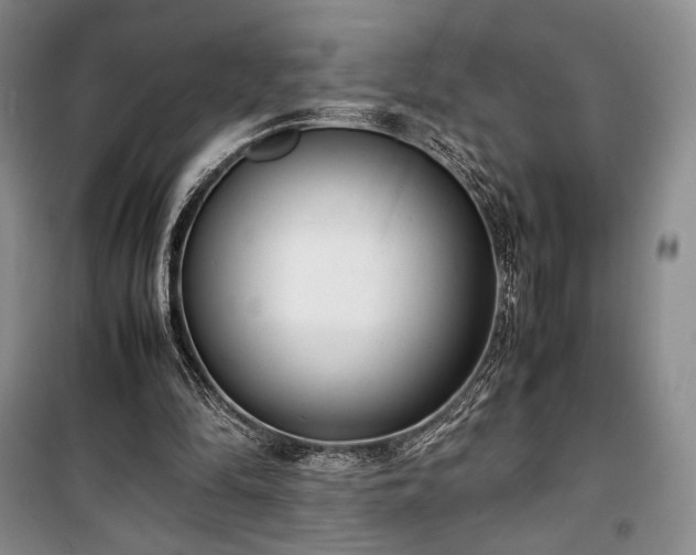 X0000100350294200806130958