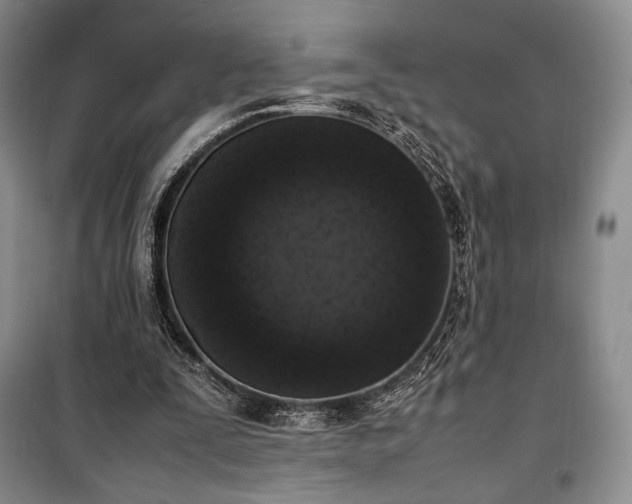 X0000100350295200806130958