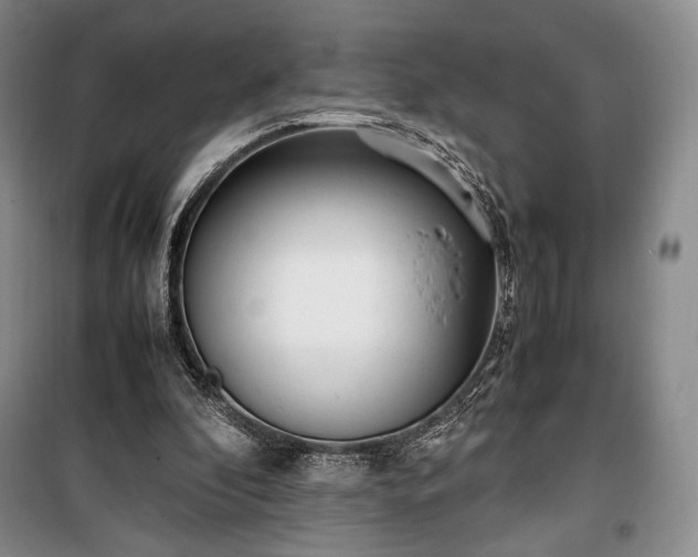 X0000100350296200806130958