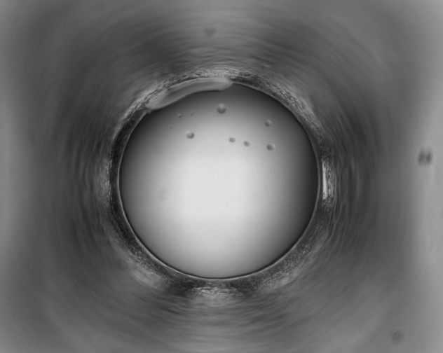 X0000100350300200806130958