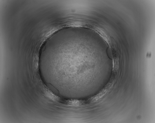 X0000100350301200806130958