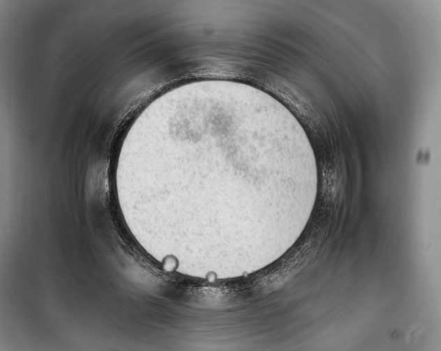 X0000100350302200806130958