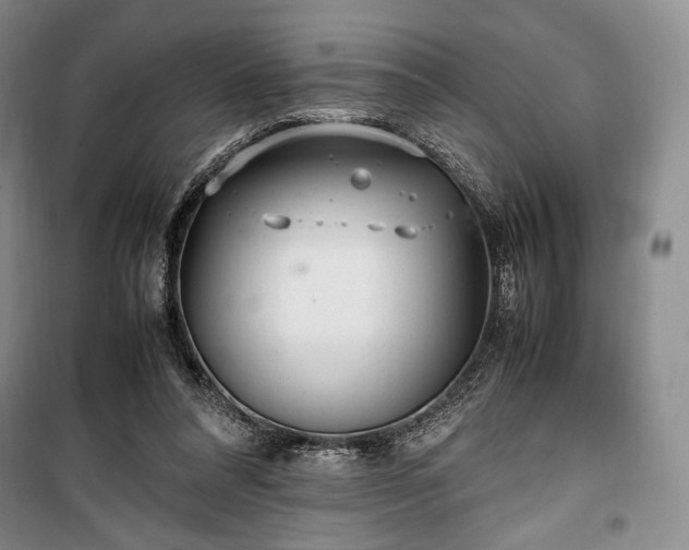 X0000100350304200806130958