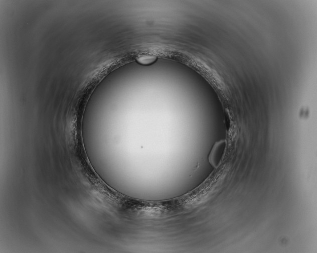 X0000100350306200806130958