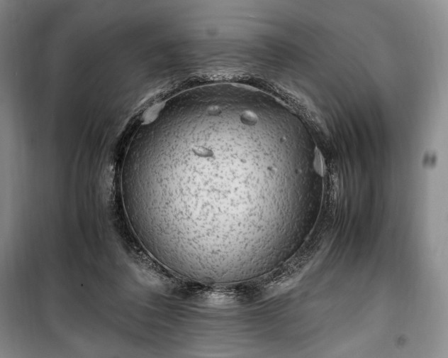 X0000100350308200806130958