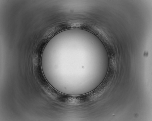 X0000100350311200806130958