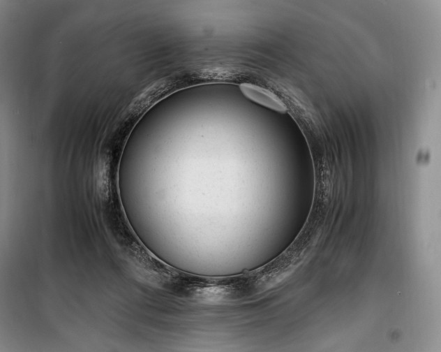 X0000100350312200806130958