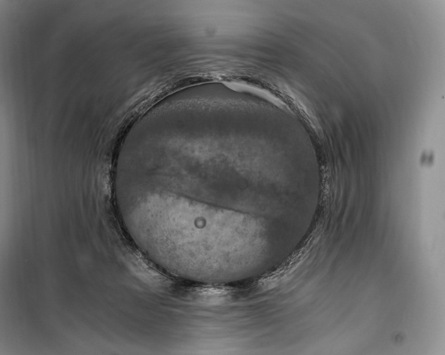 X0000100350313200806130958