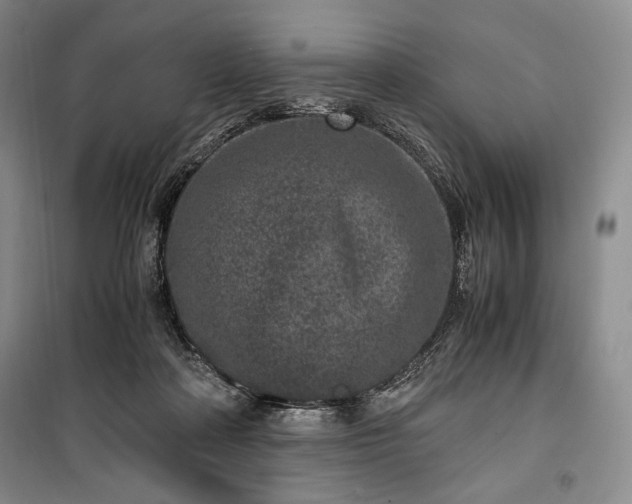 X0000100350314200806130958
