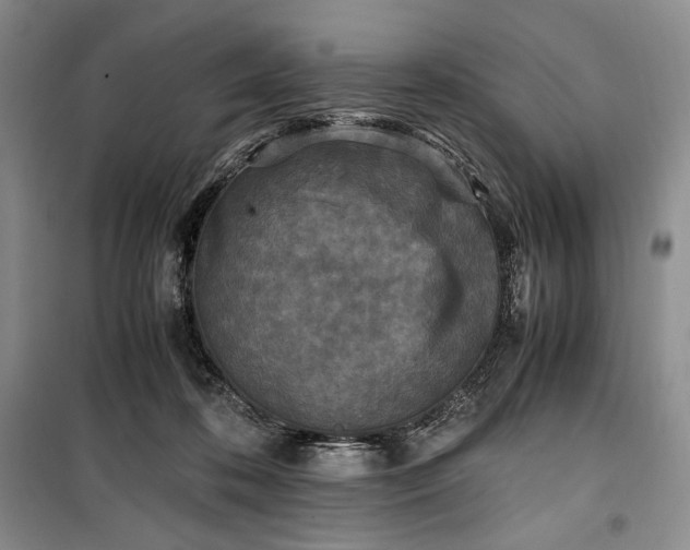 X0000100350316200806130958