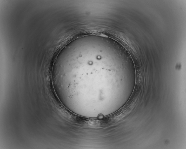 X0000100350317200806130958