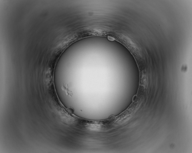 X0000100350318200806130958