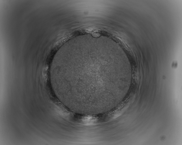 X0000100350319200806130958