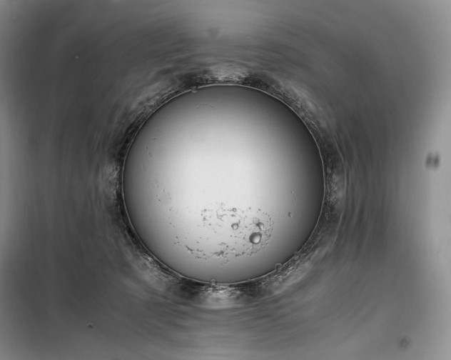 X0000100350321200806130958