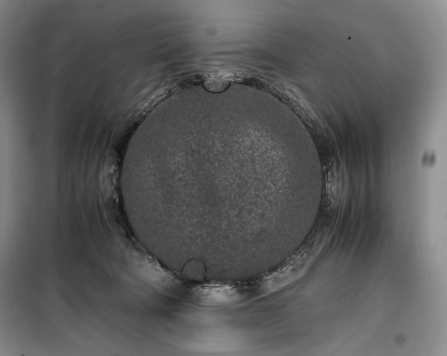 X0000100350322200806130958