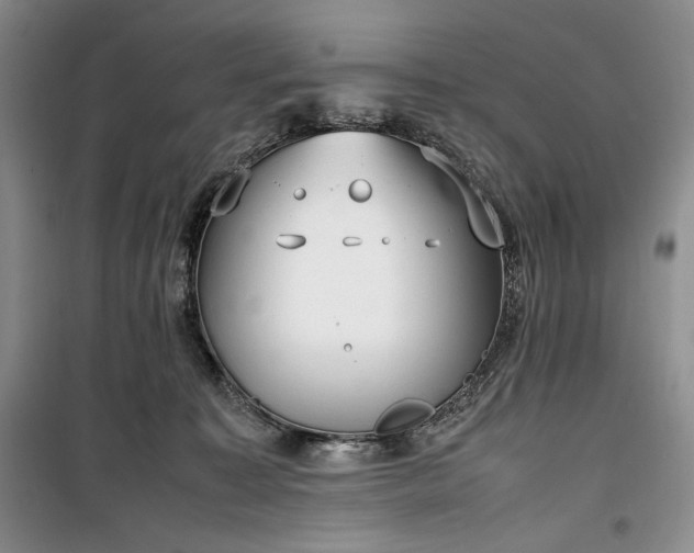 X0000100350323200806130958