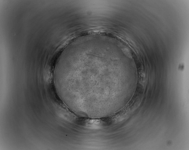 X0000100350324200806130958