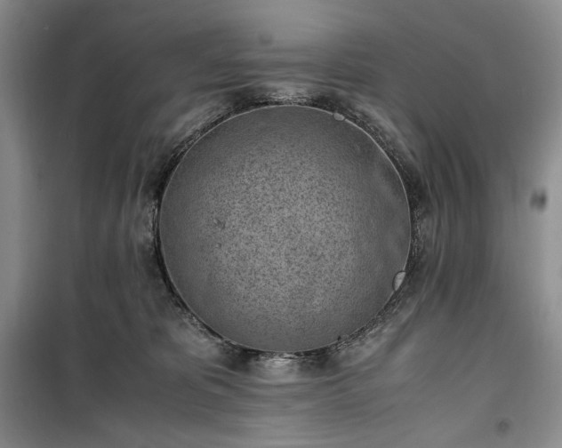 X0000100350325200806130958