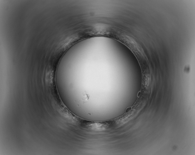 X0000100350326200806130958