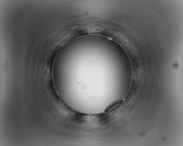 X0000100350327200806130958