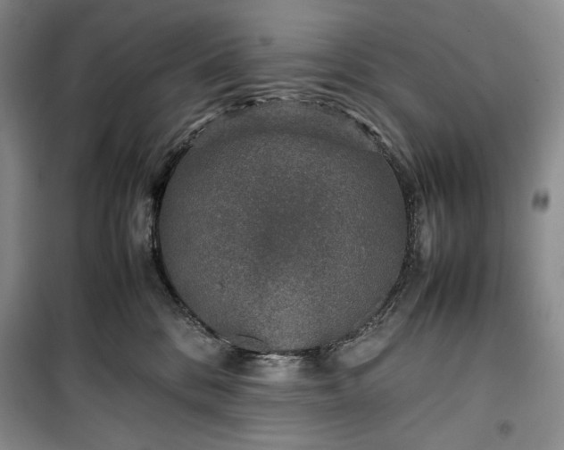 X0000100350328200806130958