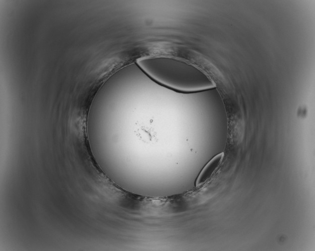 X0000100350329200806130958