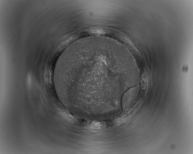 X0000100350330200806130958
