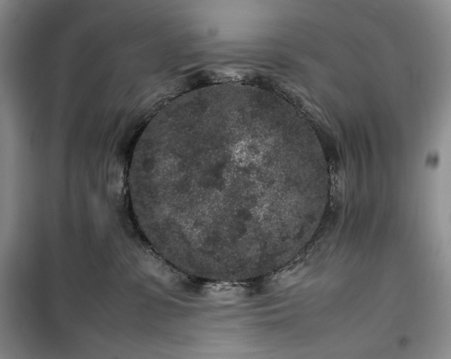 X0000100350331200806130958