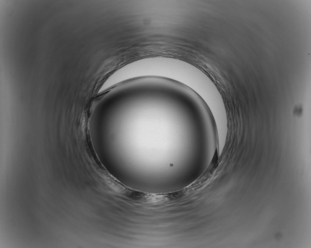 X0000100350333200806130958
