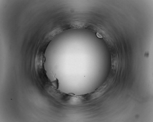 X0000100350334200806130958