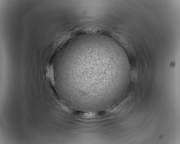 X0000100350335200806130958