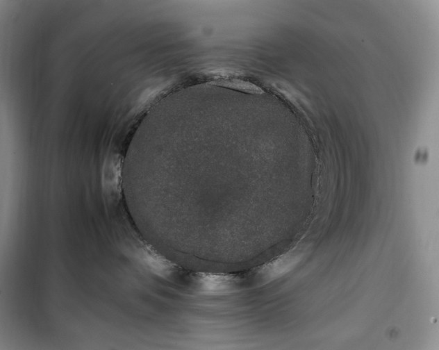 X0000100350336200806130958