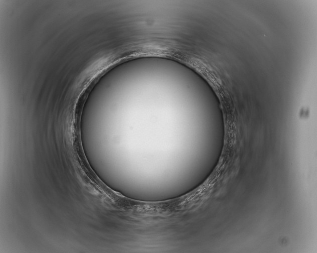 X0000100350338200806130957