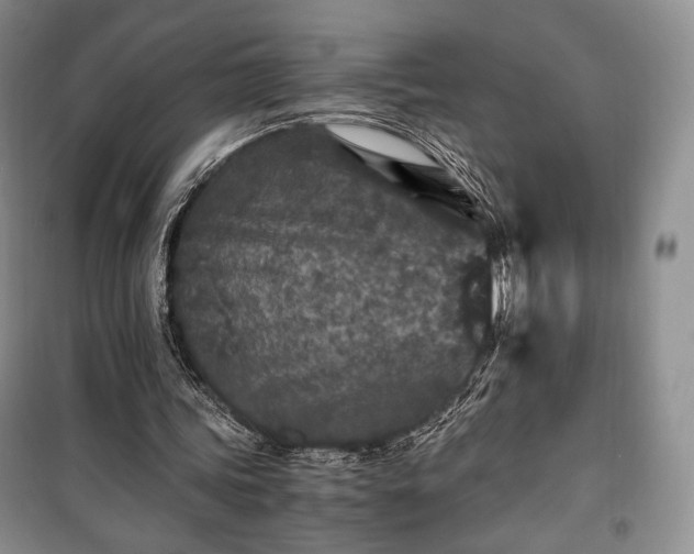 X0000100350339200806130957