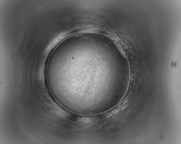 X0000100350341200806130957
